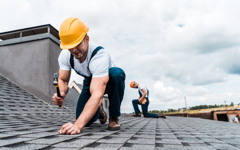 Hale Roofing & Construction, LLC