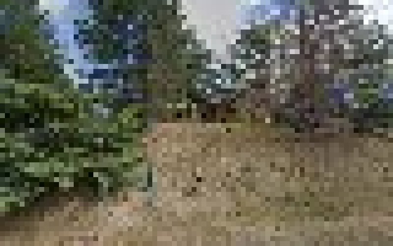 Jabez Construction Services inc