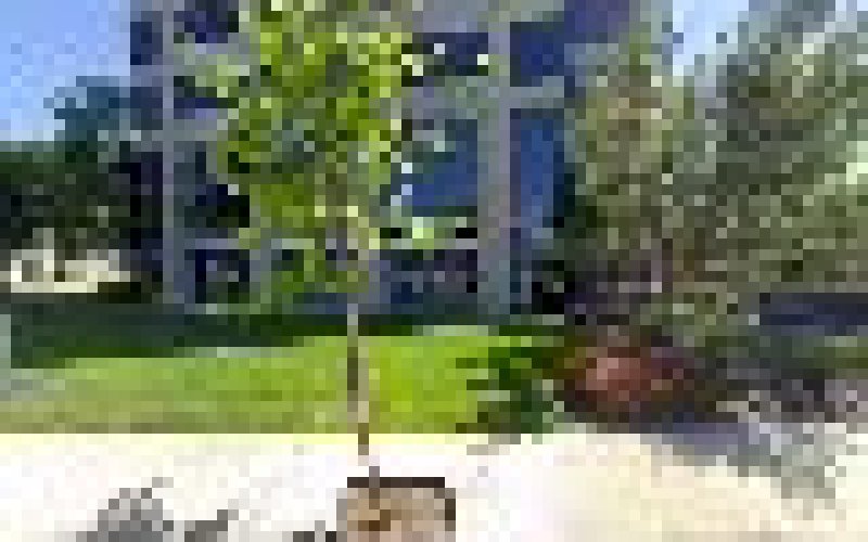 Orange General Contractors — General contractor in Orange