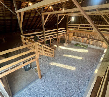 Freedom Construction